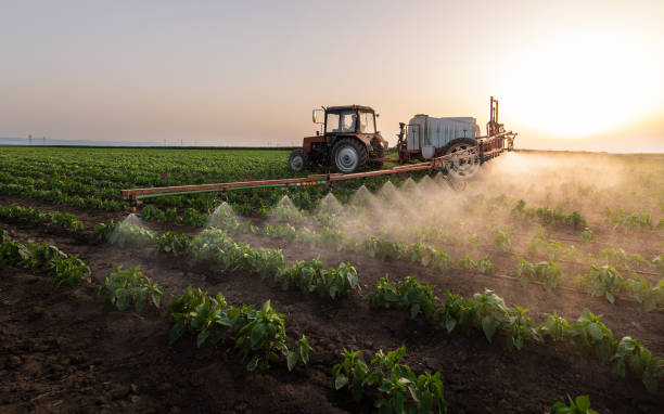 Insect Control in Kootenai, ID